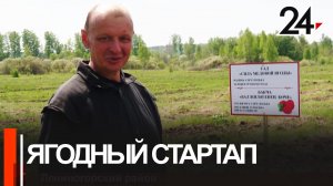 Новости